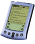 palm.png